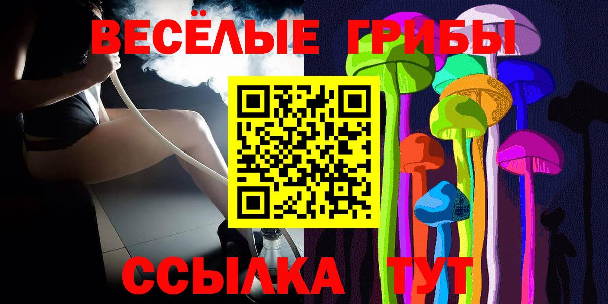 Псилоцибиновые грибы Cubensis Великий Устюг