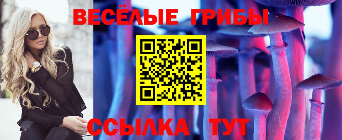 Великий Устюг  наркота  Псилоцибиновые грибы ЛСД  Вход с VPN  Галлюциногенные грибы Magic Shrooms 